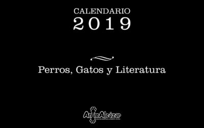 Nuevo calendario 2019!