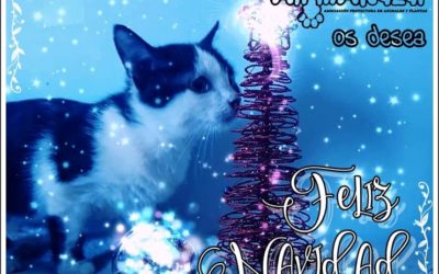 Navidad 2018