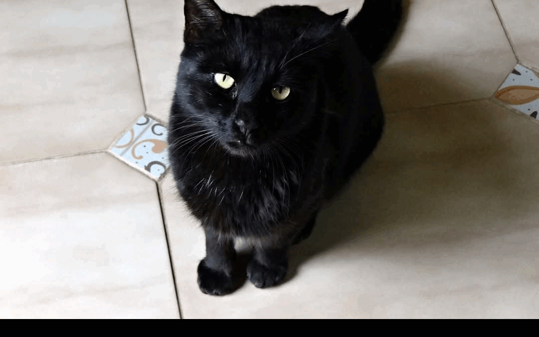 missy